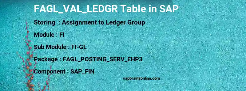 SAP FAGL_VAL_LEDGR table