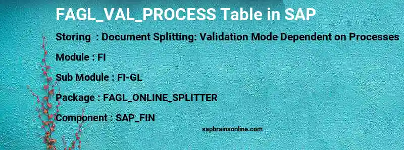 SAP FAGL_VAL_PROCESS table