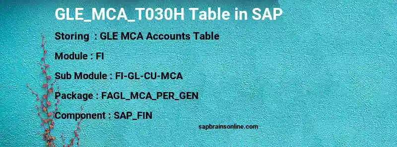 SAP GLE_MCA_T030H table