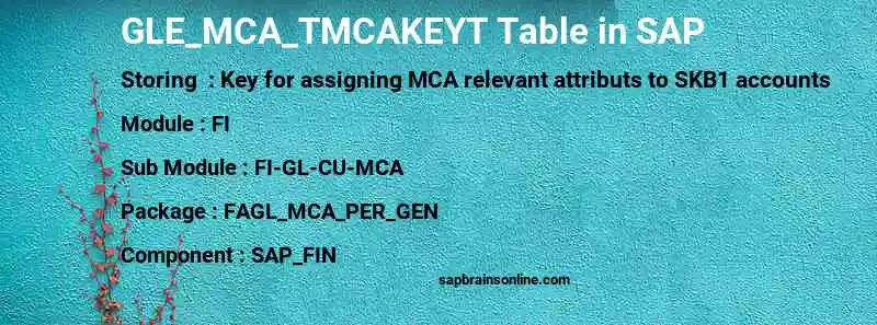 SAP GLE_MCA_TMCAKEYT table