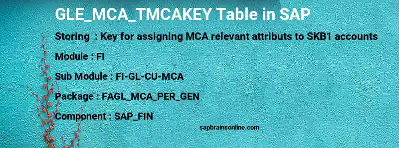 SAP GLE_MCA_TMCAKEY table