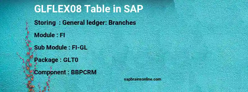 SAP GLFLEX08 table