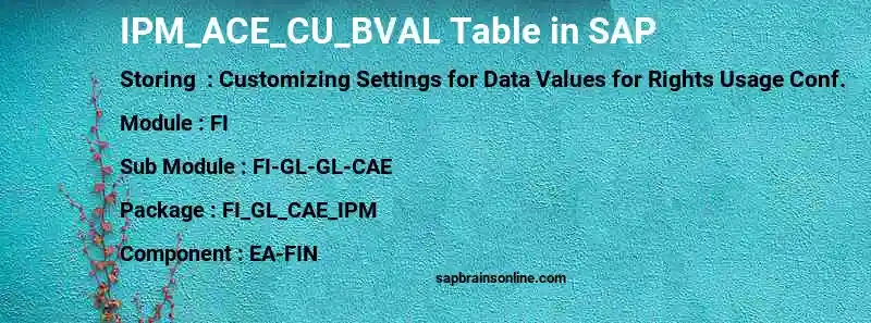SAP IPM_ACE_CU_BVAL table