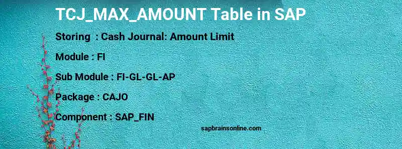 SAP TCJ_MAX_AMOUNT table