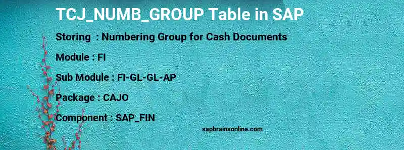 SAP TCJ_NUMB_GROUP table