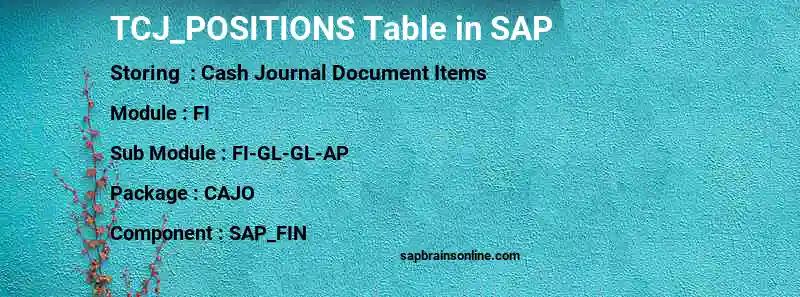 SAP TCJ_POSITIONS table