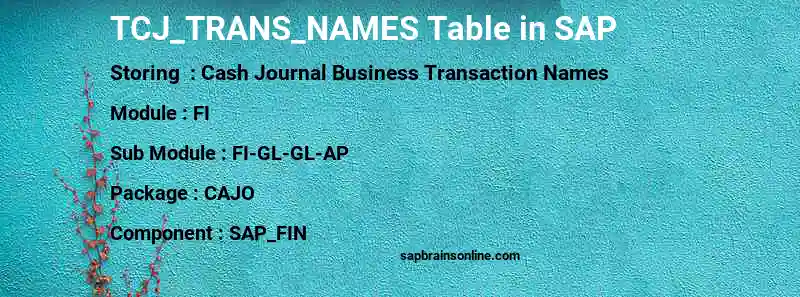 SAP TCJ_TRANS_NAMES table