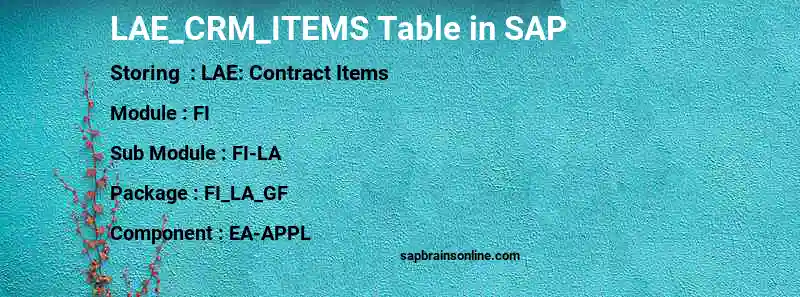 SAP LAE_CRM_ITEMS table