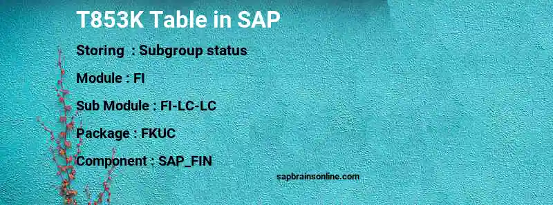 SAP T853K table