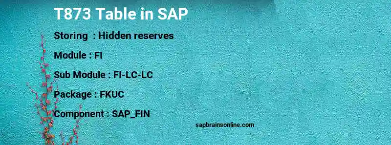 SAP T873 table