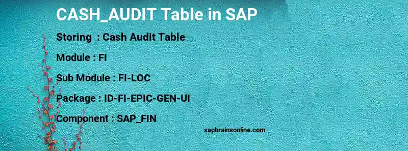 SAP CASH_AUDIT table