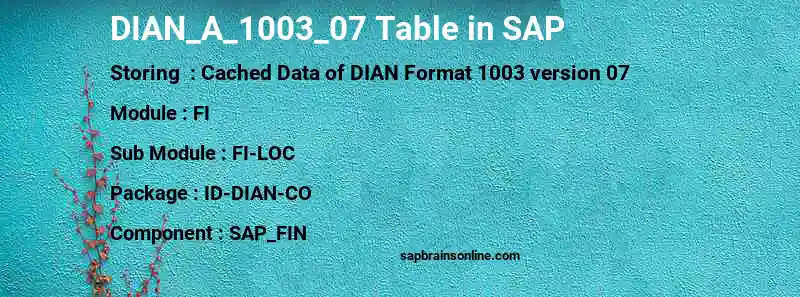 SAP DIAN_A_1003_07 table