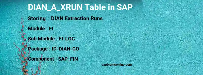 SAP DIAN_A_XRUN table