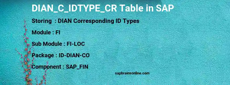 SAP DIAN_C_IDTYPE_CR table