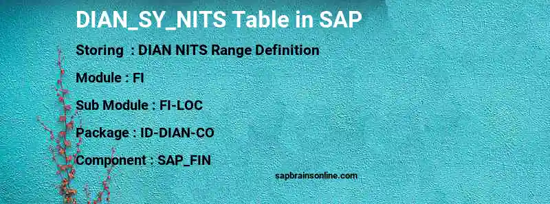 SAP DIAN_SY_NITS table