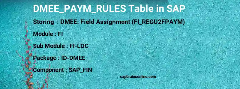 SAP DMEE_PAYM_RULES table
