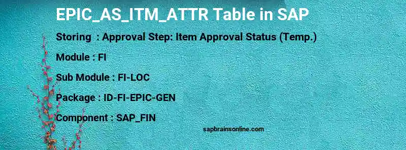 SAP EPIC_AS_ITM_ATTR table