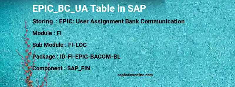 SAP EPIC_BC_UA table