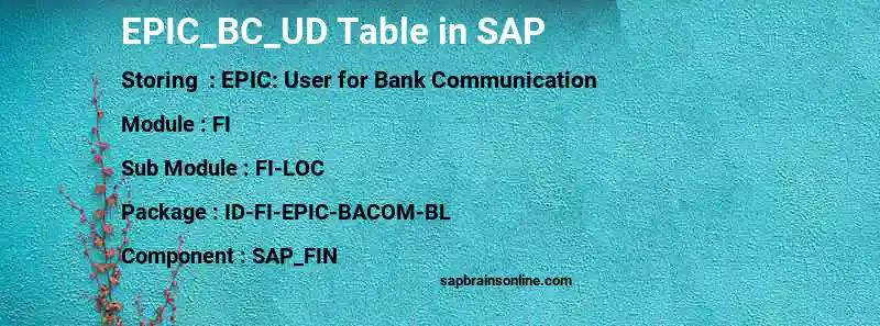 SAP EPIC_BC_UD table