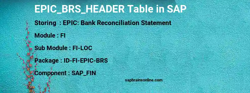 SAP EPIC_BRS_HEADER table