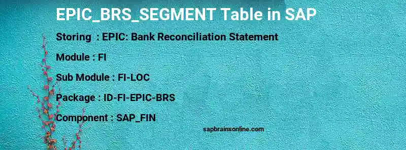 SAP EPIC_BRS_SEGMENT table