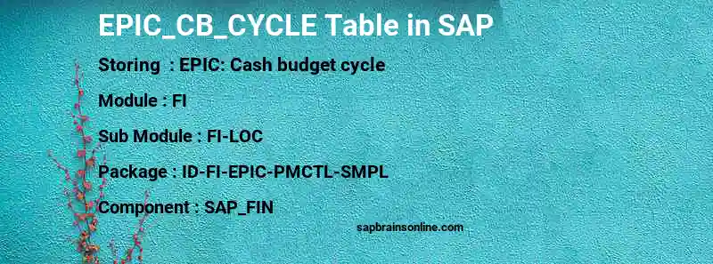 SAP EPIC_CB_CYCLE table