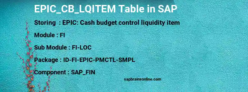 SAP EPIC_CB_LQITEM table