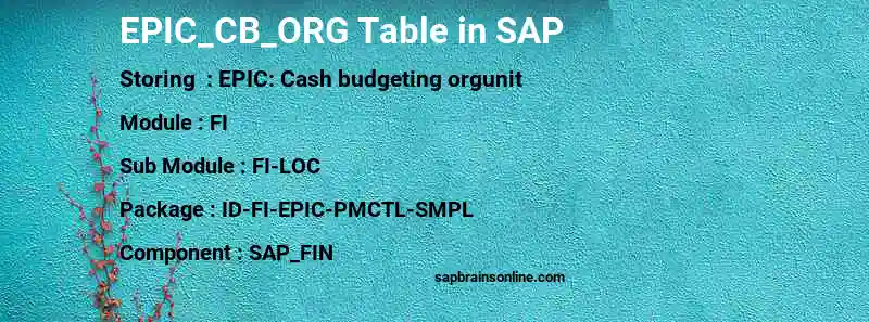 SAP EPIC_CB_ORG table