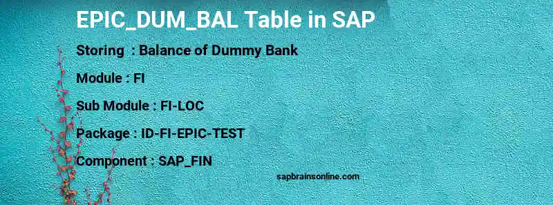 SAP EPIC_DUM_BAL table