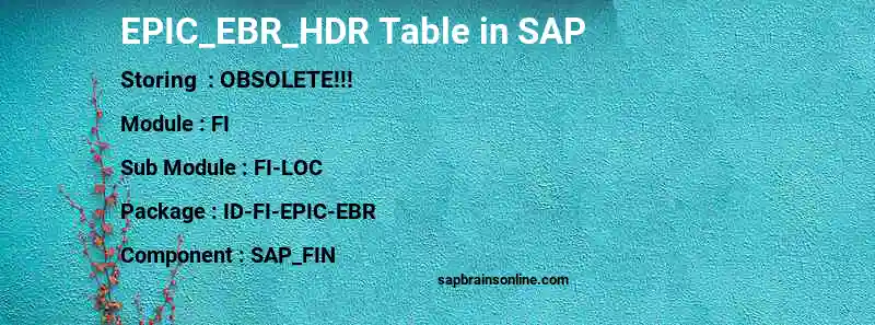 SAP EPIC_EBR_HDR table