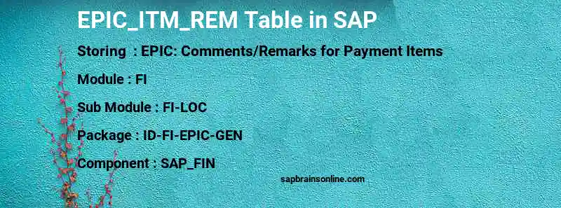 SAP EPIC_ITM_REM table