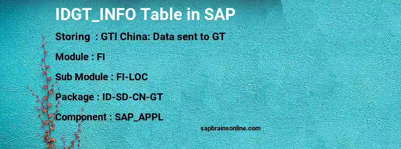 SAP IDGT_INFO table