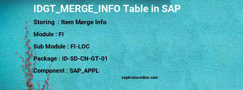 SAP IDGT_MERGE_INFO table