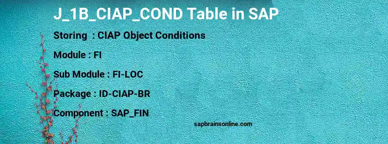 SAP J_1B_CIAP_COND table
