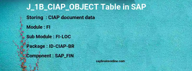SAP J_1B_CIAP_OBJECT table