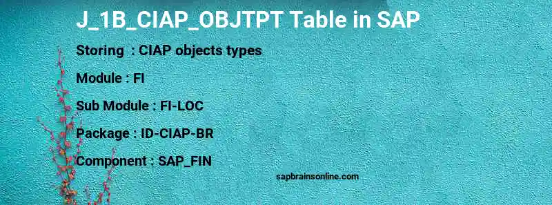 SAP J_1B_CIAP_OBJTPT table