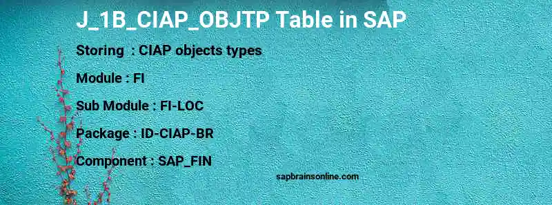 SAP J_1B_CIAP_OBJTP table