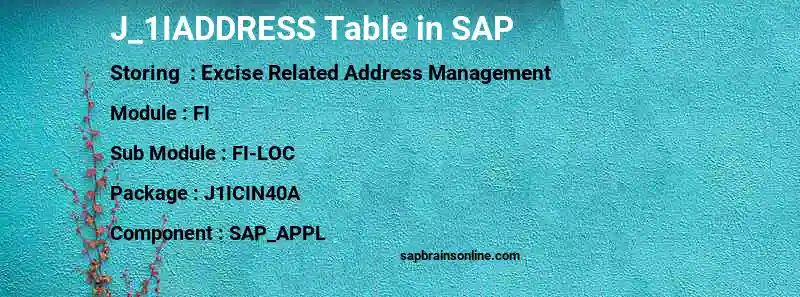 SAP J_1IADDRESS table
