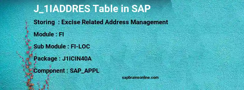 SAP J_1IADDRES table