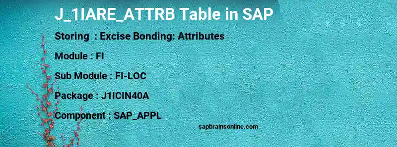 SAP J_1IARE_ATTRB table