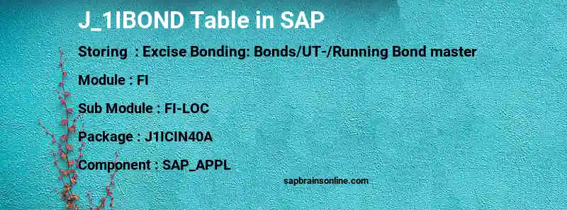 SAP J_1IBOND table