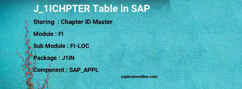 SAP J_1ICHPTER table