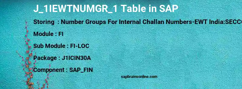 SAP J_1IEWTNUMGR_1 table