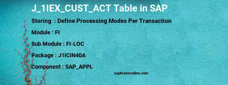 SAP J_1IEX_CUST_ACT table