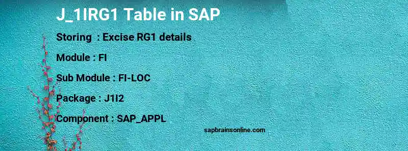 SAP J_1IRG1 table