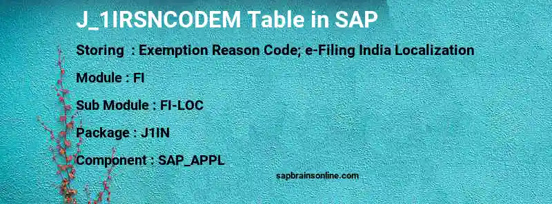 SAP J_1IRSNCODEM table