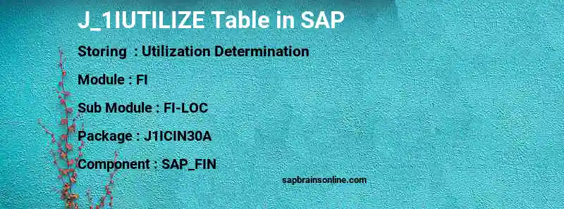SAP J_1IUTILIZE table