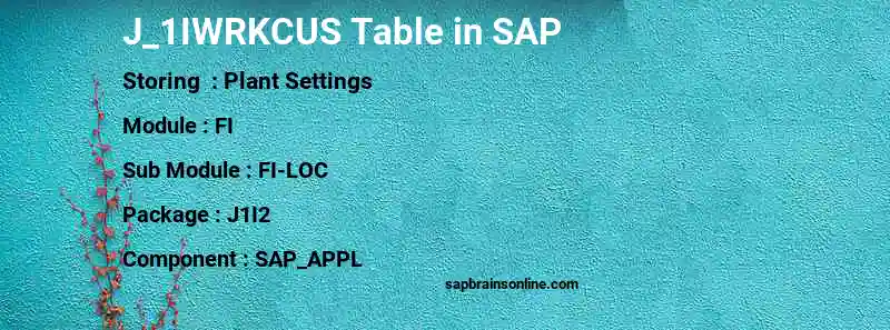 SAP J_1IWRKCUS table