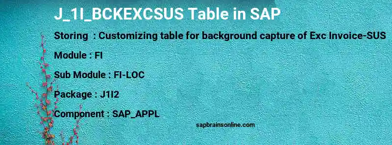 SAP J_1I_BCKEXCSUS table