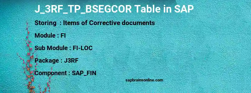 SAP J_3RF_TP_BSEGCOR table